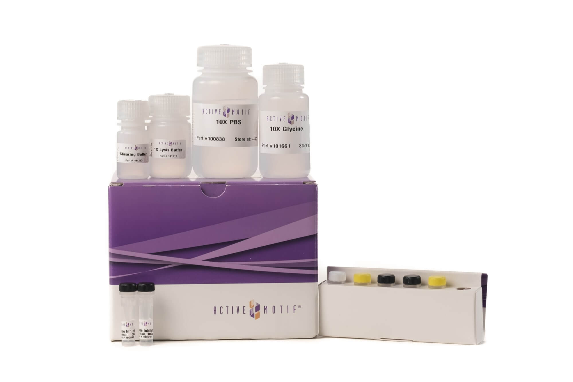 ChIP-IT® Express Chromatin Immunoprecipitation Kits